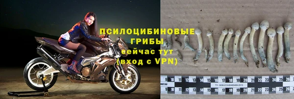 мдпв Верея