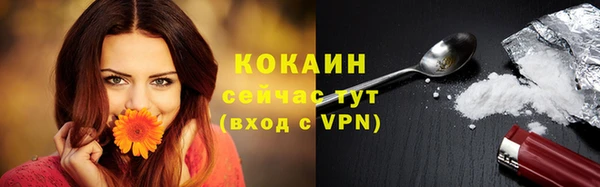 мдпв Верея
