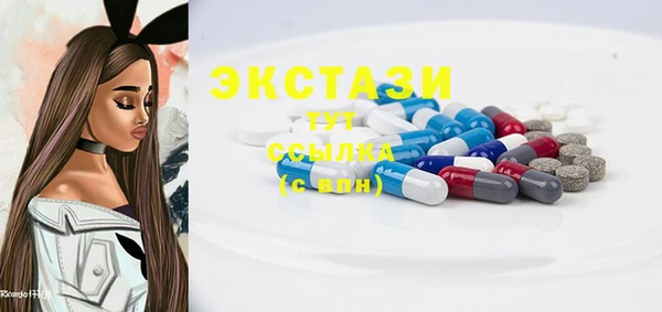 мдпв Верея
