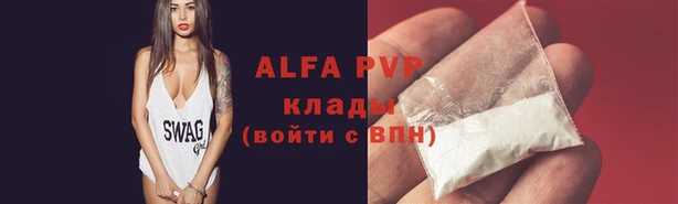 мдпв Верея