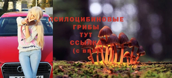 мдпв Верея