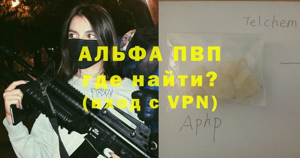 мдпв Верея