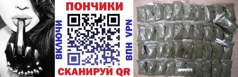 мориарти Telegram  Каспийск  Бошки марихуана тримм 